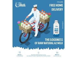 Buy Pure Desi Cow Milk Near Me | Fresh and Healthy A2 Milk Available