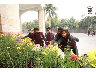 Best one among the top 10 best schools in Noida