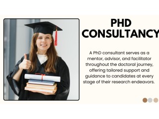 Strategic Insights : Expert Advice from a PhD Consultant in Delhi