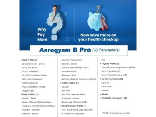 Book Aarogyam B Pro by Thyrocare for Rs 1150with 58+ tests
