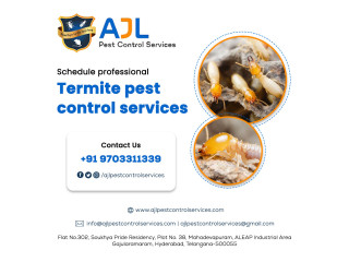 Termite Control services In Hyderabad