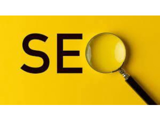 Hire Invoidea, The Best SEO Agency in Delhi