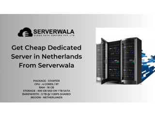 Get Cheap Dedicated Server in Netherlands From Serverwala