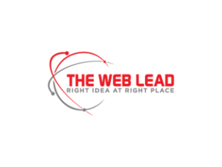 The Web Lead - Digital Marketing Agency in India