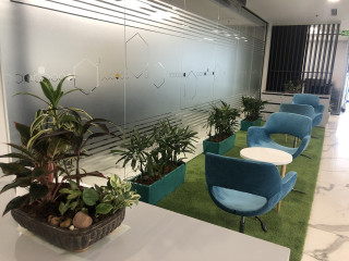 Transform Your Office Space with Garden on Hire