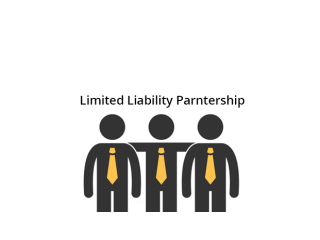Roles and Responsibilities of Limited Liability Services