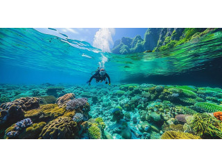Scuba Diving Locations in Andaman