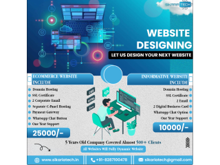 Website Designing Company In Laxmi Nagar