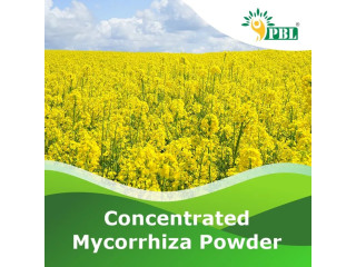 Mycorrhiza Fertilizer | Peptech Biosciences | Manufacturer and Exporter