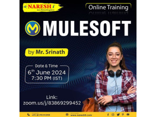 Best MuleSoft Online Training in Hyderabad 2024.