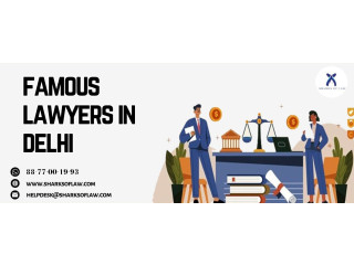 Famous Lawyers In Delhi