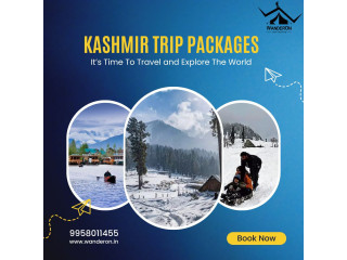 Unforgettable Kashmir Trip Packages: Uncover Paradise