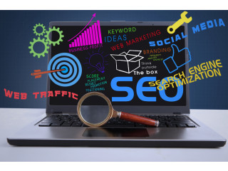 Top SEO Agency in India: Elevate Your Digital Marketing