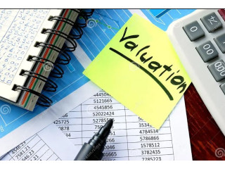 409A Valuation Services Valuation Services