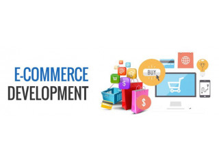 Why Every Successful Online Store Needs an Ecommerce Development Company in Delhi