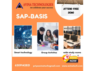 Sap Basis Training Institute in Hyderabad