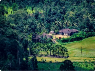 Family Hotels in Coorg