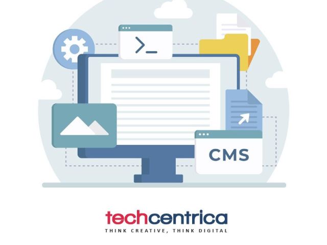 excellent-online-presence-by-web-development-company-in-ncr-noida