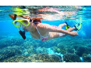 bharat-darshan-tour-packages-deals-small-3