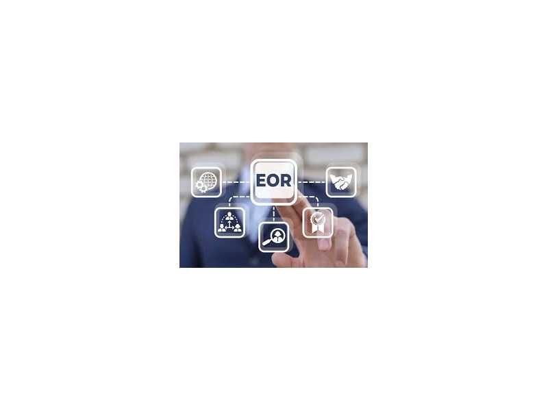 eor-service-provider-in-india-small-0