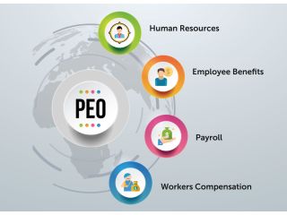 peo-companies-in-india-small-0