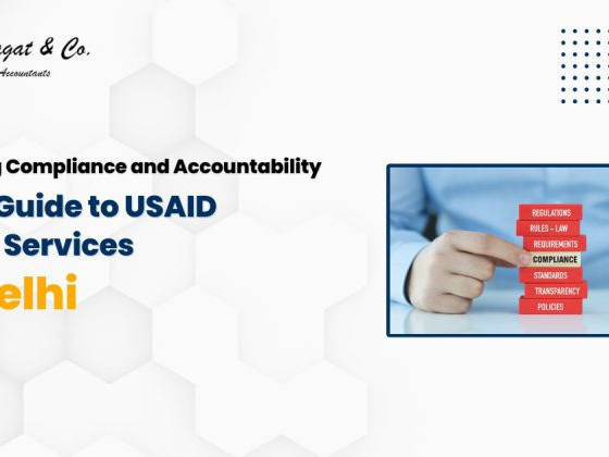 usaid-audit-in-delhi-india-big-0