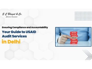 usaid-audit-in-delhi-india-small-0