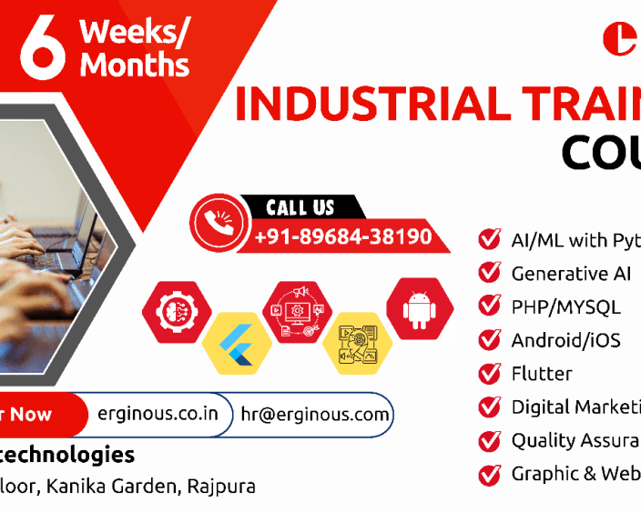 industrial-training-in-rajpura-erginous-technologies
