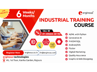 industrial-training-in-rajpura-erginous-technologies-small-0