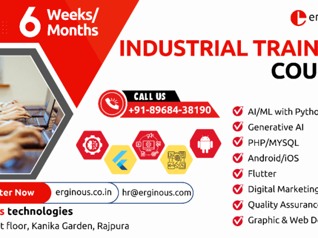 industrial-training-in-rajpura-erginous-technologies