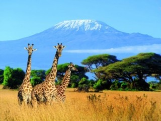 Explore Tanzania's Wonders with Exploring Tourism!