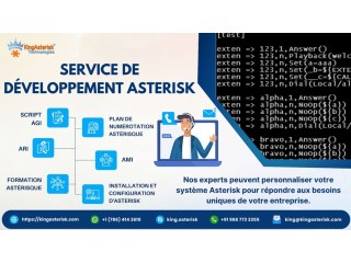 Asterisk Development Services