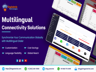 Multilingual Connectivity Solutions.............