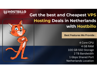 Get the best and Cheapest VPS Hosting Deals in Netherlands with Hostbillo