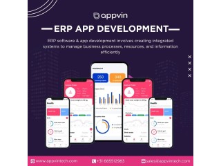 ERP application development services