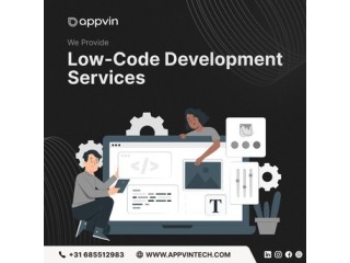 Best Low-Code Development Services