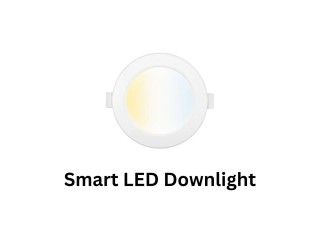 Unleash the Power of Personalization: Sparky Shop's Smart LED Downlights