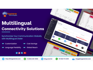 Multilingual Connectivity Solutions............