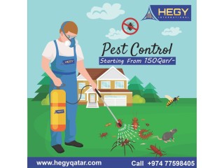 Best Pest Control Services In All Over Qatar