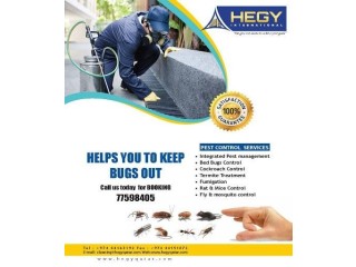 BUG CONTROL SERVICE IN ALL OVER QATAR