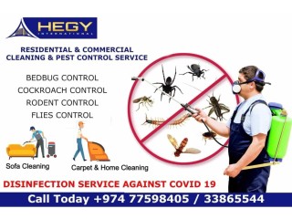 Professional Cleaning & Pest Control Division In All Over Qatar