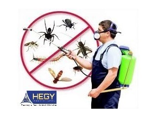 Top Pest Control Services In Doha Qatar