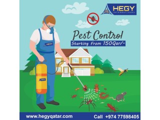 Professional Pest Control Services In All Over Qatar