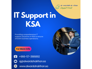IS IT Support do to Enhance business Efficiency in Riyadh?