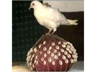 defeat-rivals-and-enemy-protection-spells-27730651163-small-3