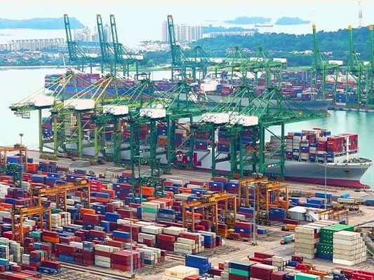 affordable-sea-freight-services-for-businesses-importers