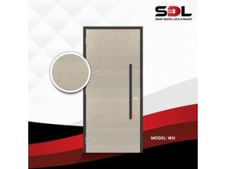 premium-main-door-designs-for-modern-singapore-homes-small-0
