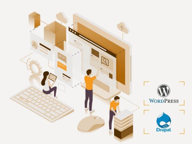 website-design-services