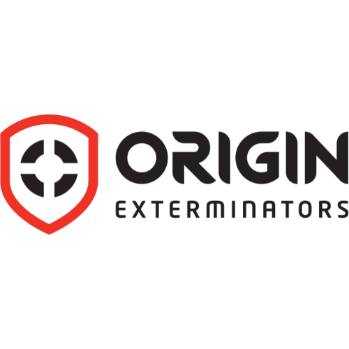 professional-rodent-control-services-in-singapore-for-effective-big-0