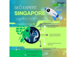 seo-expert-singapore-for-business-growth-small-0